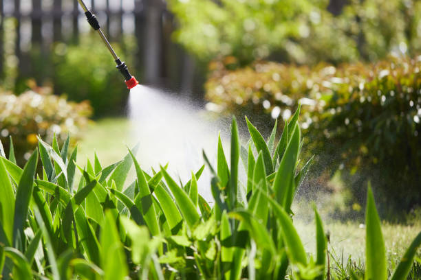 24/7 Emergency Mosquito Control experts in Gladewater, TX