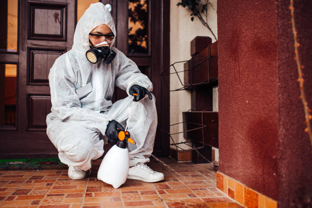 Reliable Mosquito Control contractor in Gladewater, TX by Show Me Pest Control